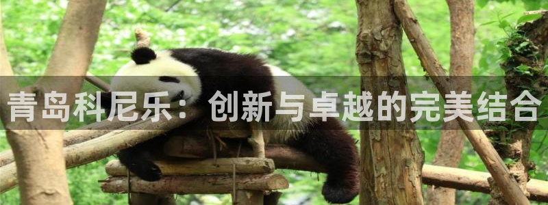 鸿运平台登录首页