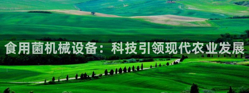 鸿运平台刷流水