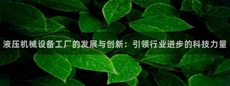 鸿运平台是骗局吗