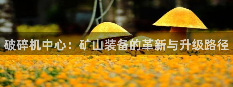 东方阿保鸿运购物平台