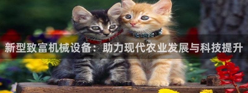 鸿运钱包平台正规吗