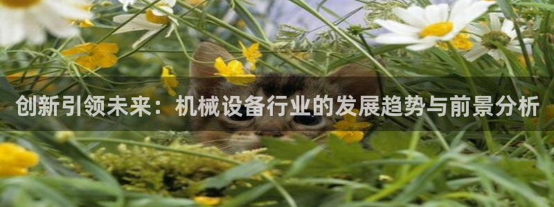 鸿运串串团购平台