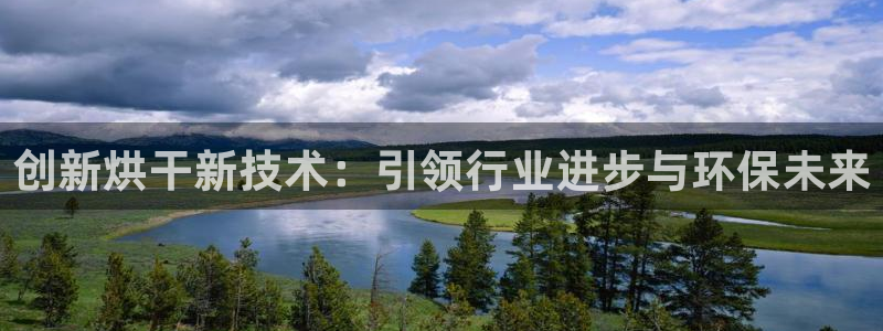 鸿运公司滴滴平台