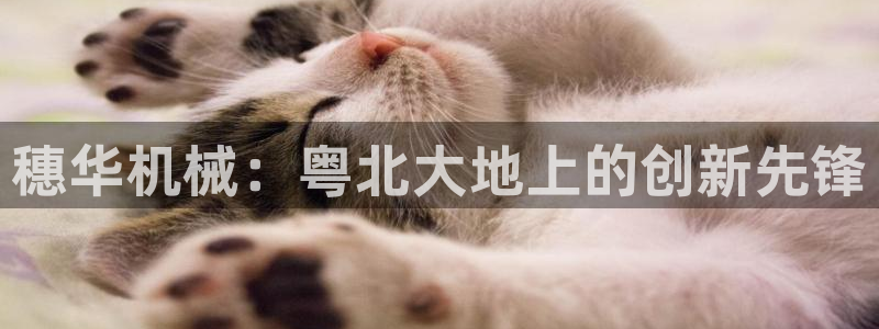 鸿运信息发布平台