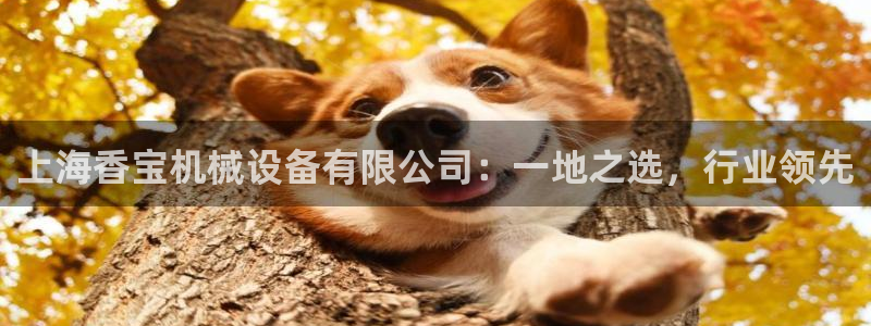 鸿运服务平台是什么平台