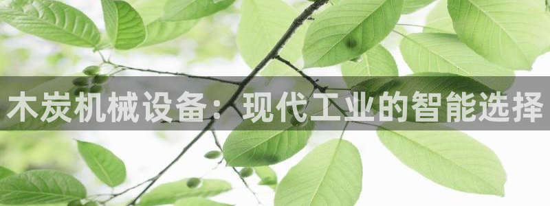 鸿运集团办公平台