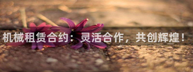 鸿运当头在哪个平台