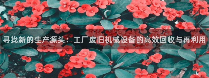 鸿运华宁技术平台