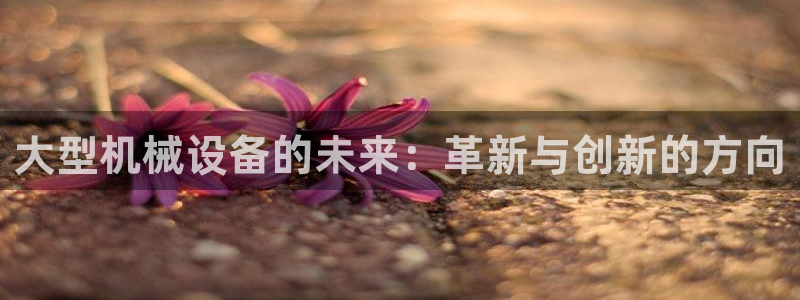 鸿运平台审核需要多久