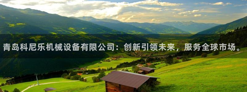 正规鸿运国际平台