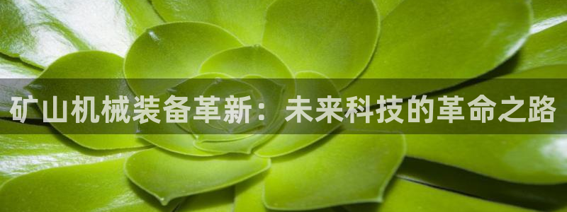 中国鸿运是什么平台