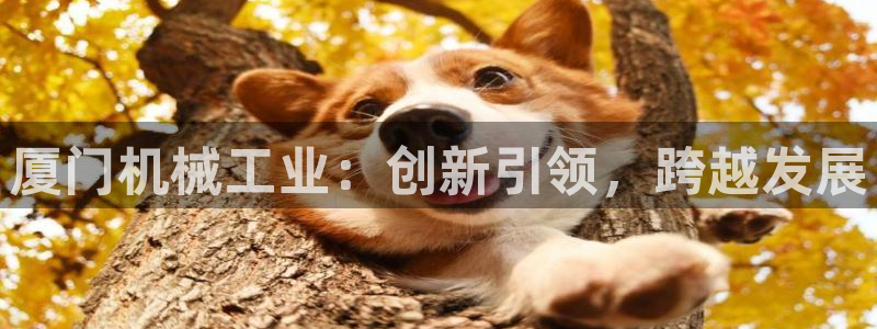 鸿运到平台在线客服