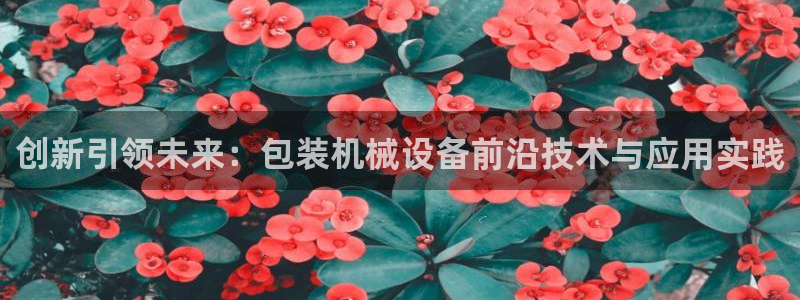 鸿运大秀平台