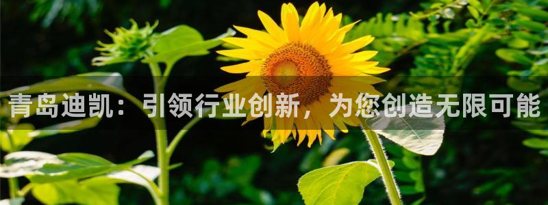 鸿运来手游平台