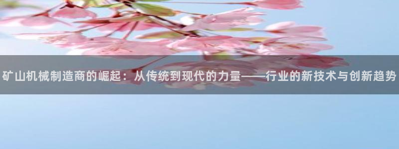 鸿运服务平台官网