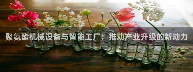 鸿运平台骗局曝光