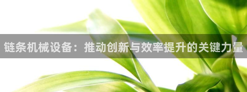 游戏鸿运平台网站