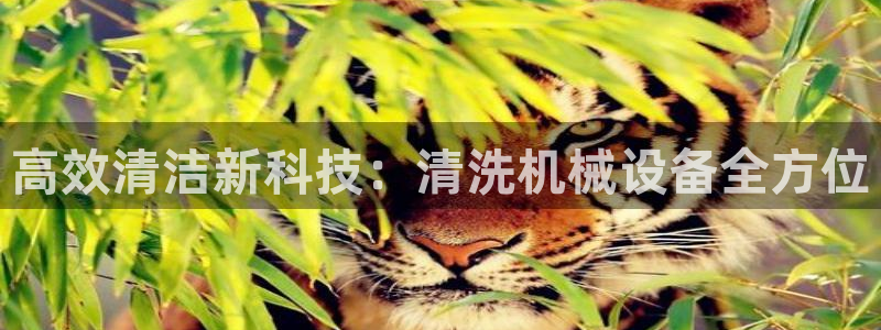 2018鸿运平台