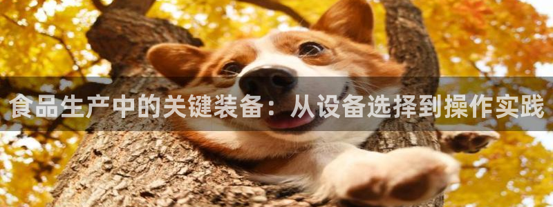 鸿运九九平台